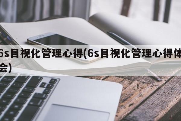 6s目视化管理心得(6s目视化管理心得体会)